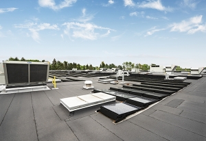 Photo of the Tokiwa plant solar panels